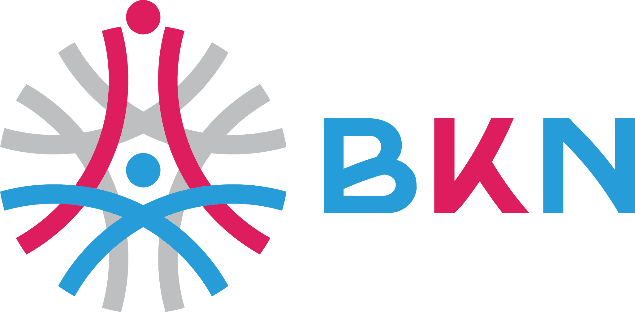 BKN Logo